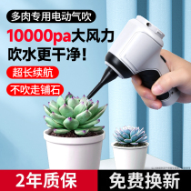High-pressure tiger skin blowing artifact air blowing and water blowing powerful electric wireless air machine small skin blowing machine succulent *dust removal