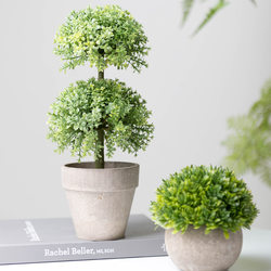 Recommended small fresh simulated green plant potted green tropical plants interior decoration succulent Nordic INS style bonsai