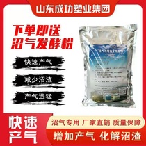 Biogas tank farm complete equipment red mud biogas tank household new rural biogas Y gas storage bag fermentation