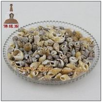 Fo Bao for Manza Loaded Hide and Bottling Small Sea Snail 250S Kpieces Low-priced Knot Edge