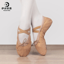 Yiduoyimu dance shoes womens soft-soled practice shoes for adults children men and women ballet belly classical dance shoes cat claw shoes
