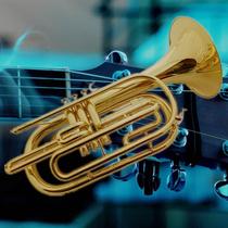 lManufacturer of Western wind instruments brass horn in B flat bass horn junior high school student grade examination music band entertainment performance M