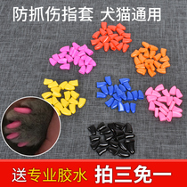 Recommended pet nail covers dog nail covers cat nail covers cat and dog claw covers anti-scratch covers anti-cat scratch Teddy fingers