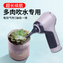 Succulent water blowing artifact electric air blowing wireless small cleaning dust removal succulent tool special dust blowing
