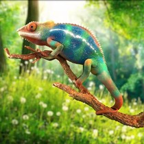 Chameleon Pets e lizard Lizard Reptile Green Hyenas-Green Hyena-Canopy Climbing large small emulation Climbing Vine twigs.