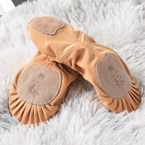 Professional Belly Leather Dance Shoes Practice Shoes Beginners Yoga B Shoes Non-slip Shock Absorbing Cat Paws Soft Bottom Dance Soft Ballet