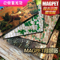 Tortoise box wallpaper landscaping i decorative turtle box tortoise mane lion lizard snake reptile breeding box pet box background paper