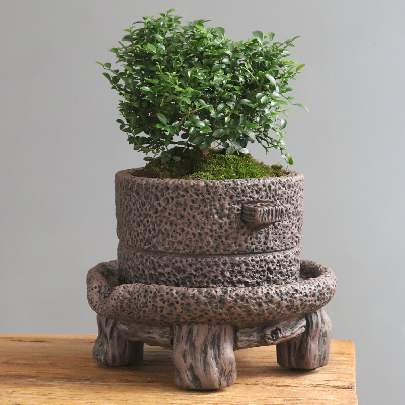 時代物 中国古玩 堆朱 輪花鉢 内七宝 T−466 14321_502035355264212502470_90