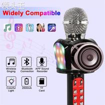 Microphone microphone and audio integrated mobile phone karaoke artifact G TV home wireless Bluetooth ZX-818