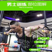 Ring fitness household childrens training childrens indoor pull-ups J equipment arm stretcher exercise handle