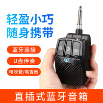 Electric blowpipe plug-in speaker electric guitar bass instrument Bluetooth portable small audio U disk accompaniment amplifier