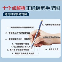 Spot Speed Hairstyle Spec Handwriting Positive Gesture Cushion Children Elementary School Children Correction Hook Wrong Sitting Grip Pen Anti-Nearsightedness