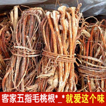 Meizhou native wild five-finger hair peach root 500g sulfur-free five-claw dragon root seven-finger hair peach dry soup material