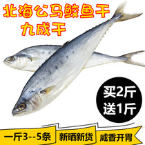 Guangxi Beihai mackerel 500g specialty seafood dried goods dried fish steamed fish dried dried plum fragrant salted fish