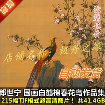 Chinese painting ultra HD picture Lang Shining works painting collection 215 full set of white crane cotton spring flower bird material printing spray painting