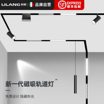Magnetic track light without main light design Magnetic light recessed household surface installation living room lighting hidden led spotlight