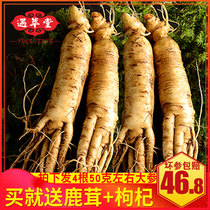 (4 roots 50g ginseng) fresh ginseng wild ginseng Changbai Mountain ginseng human mountain ginseng people three Northeast