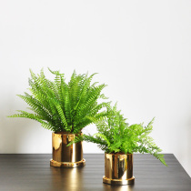 Fern grass and gold-plated ceramic flowerpot combination minimalist style simulation plant potted art185