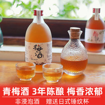 Plum wine old Changsha rice wine bottled low-grade national tide drink plum wine ladies  liqueur plum fruit wine delicious liqueur
