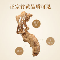 Selection of golden cicadas wild 100g Terme-class medicinal herbs golden cicadas big and full