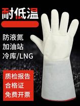 Antifreeze gloves Low temperature resistant cold warm water barrier liquid nitrogen cold storage dry ice box LNG filling station Labor protection cowhide