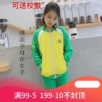 Guangzhou Panyu District primary school uniform style jacket trousers cotton C model 2019 new winter suit