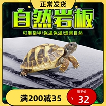Tortoise Stone Slate Mat Material Natural Rock Eclipse Basin Eating Pan Rock Board Climbing Spotting Turtle Box Reptile Lizard Moisturizing Insulation