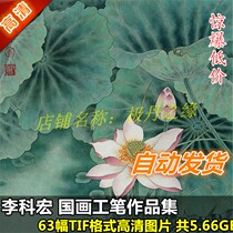 National Paintwork Pen HD Photo Li Kohong Works Draw Collection 63 Full Flowers Bird Painting Design Material for Imitation Spray Painting