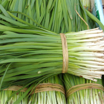  Leek seed seeds White root wide-leaf leek seed root seedlings Spring and autumn four seasons potted balcony vegetable seedlings