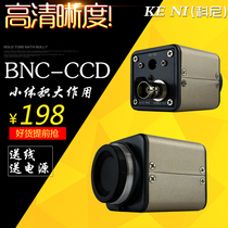 HD 800 Line BNC AV Color Industrial Camera Microscopy Machine Vision Detection Monitoring CCD Camera