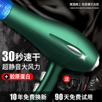 Barber shop electric hair dryer household negative ion hair care high power hair salon special 3000W silent quick drying air tube