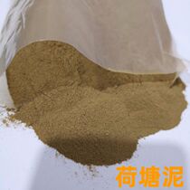 Turtle pond mud mud water for turtle hibernation