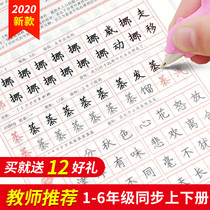  Childrens copying copybook sketch paper teaching version Second grade upper book Lower book Primary school students Chinese synchronous copybook regular script red writing practice stickers Men and women pencils Pen one two three four five practice book