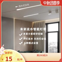 Xiaomi Net Red Horse Racing light smart light with little love classmate voice control WiFi flowing water light with rice Home APP