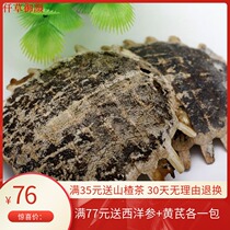  Turtle beetle 500 gr raw turtle beetle turtle shell turtle shell turtle shell Turtle Shell Turtle lid Another turtle shell Non-roasted turtle A