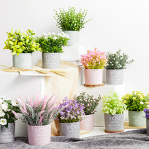 Simulation plant decoration photo props background decoration Small ins wind jewelry decoration shooting items Product scene