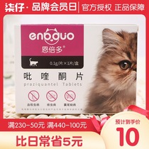Enbedo cat in vivo anthelmintic drugs kittens adult cats insects insects hookworm nematodes tapeworms tapeworms