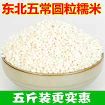 Glutinous rice 5kg Northeast specialty farmhouse round grain River Rice Dragon Boat Festival zongzi raw material brewing glutinous rice wine sticky rice