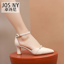 Chapehenie 2022 Spring new womens shoes with a sharp tip coarse heel high heel commuter Korean version 100 hitch slim single shoe