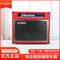 KARDON Caton 40W electric guitar speaker performance band rehearsal speaker playing and singing sound with distortion reverb