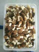 A large number of fresh morel dried products