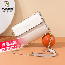 Woodpecker new bag women shoulder bag 2021 fashion chain bag women small square bag simple shoulder cross small bag