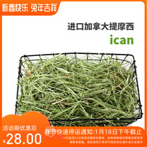 Fine sieve Canadian competition level ican high fiber low calcium Timothy grass rabbit guinea pig chinchilla pasture new batch