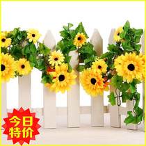 Emulated sunflowers vines Sunflower vine Vine Fake Flowers Decoration Living-room Balcony Decoration Piping Decoration Laflowers