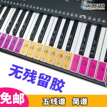Electronic organ sticker 88 key 61 key 54 key transparent piano sticker five-line spectral keyboard brief note key bit post