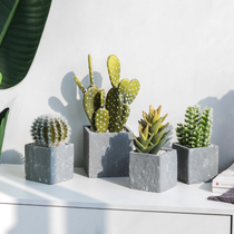 Creative Nordic Simulation of Multi-flesh-green plant pot fake cactus office simulation of potted home decoration