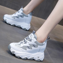 Net red father shoes womens ins2020 spring new wild casual single shoes increased sports small white shoes X0227