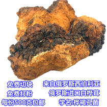 Russian Imported Natural Original Eco White Birch Birch Brown Pore Fungus Birch Tree Tears Birch Tree And Boiling Water Tea 500g