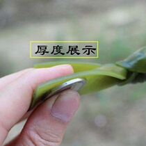 High-quality salted kelp knots without sand sea cabbage buckles spicy hot pot barbecue knot