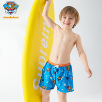  Barking team childrens boxer swimming trunks baby cute cartoon boys middle and large childrens sports quick-drying childrens swimwear